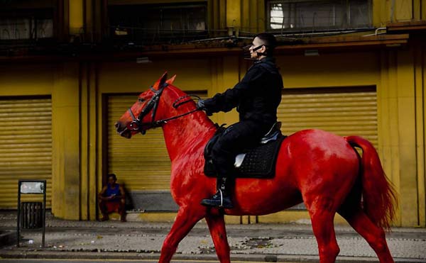 berna_reale_divulgacao_blog