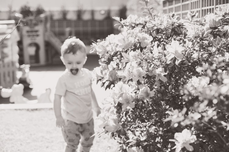 Eduardo_2_anos-07-07-2016-015