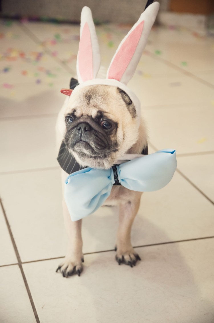 naele-13-02-2016-072