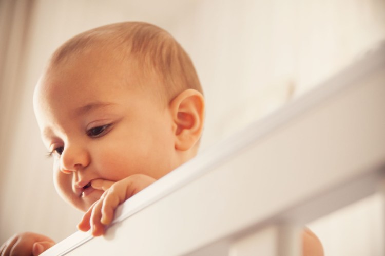 Ensaio_Nicholas-27-08-2016-012