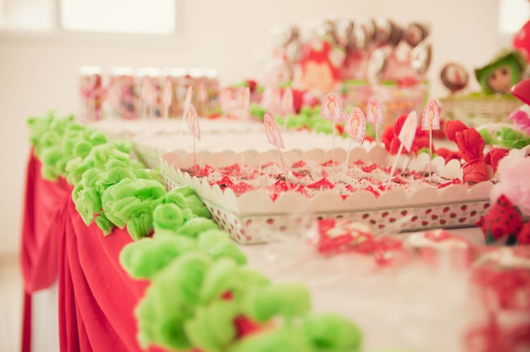 1ano_laura_13-12-2015-002