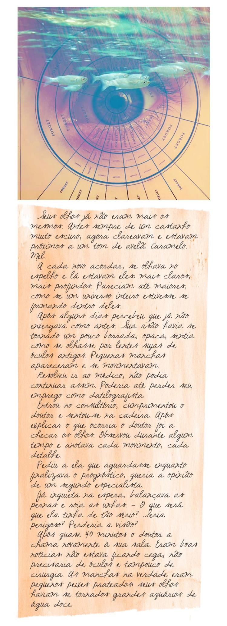 peixes-e-homens_blog04